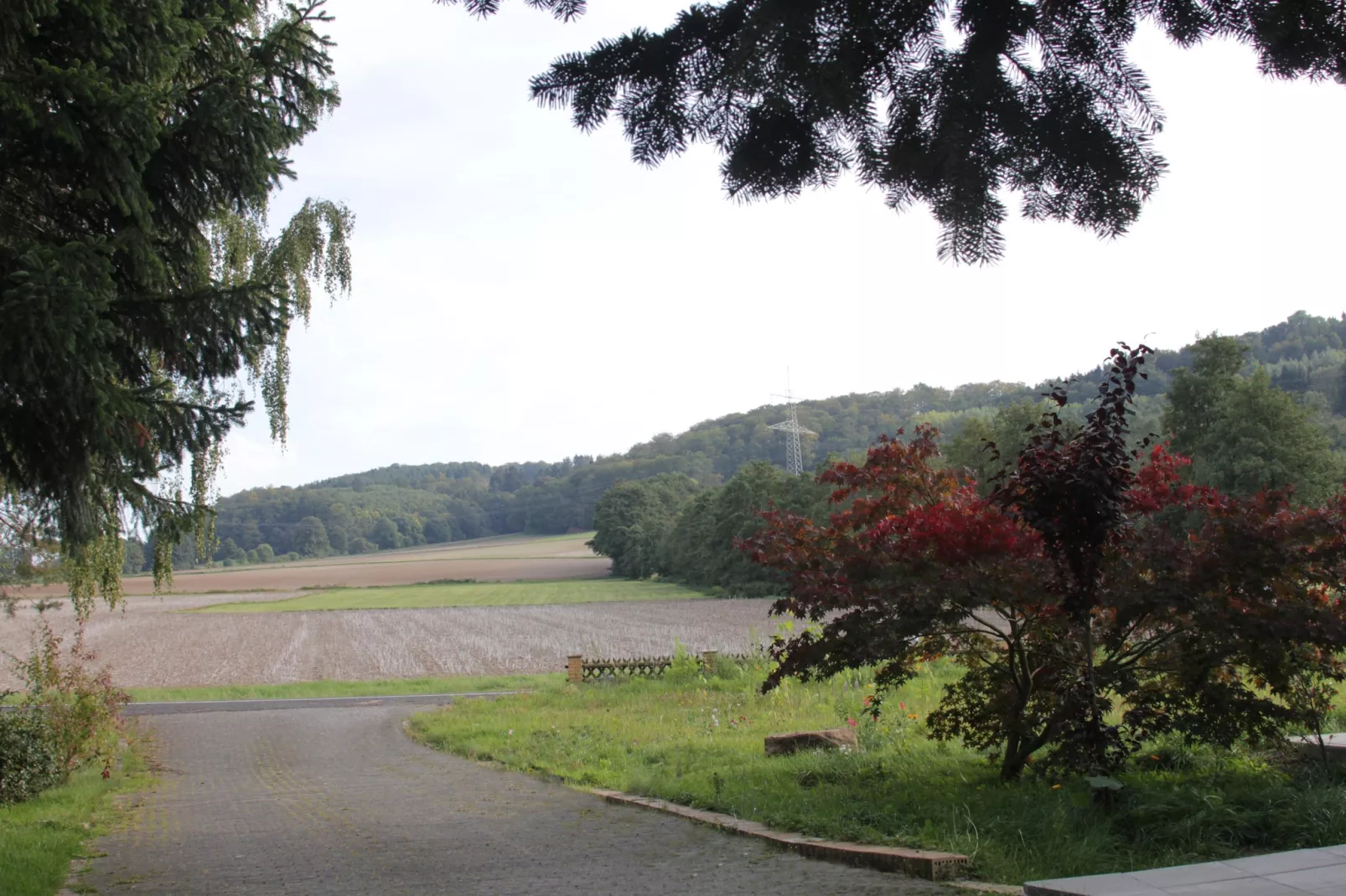 Gästehaus Kühne Fewo 1 OG - Uitzicht zomer