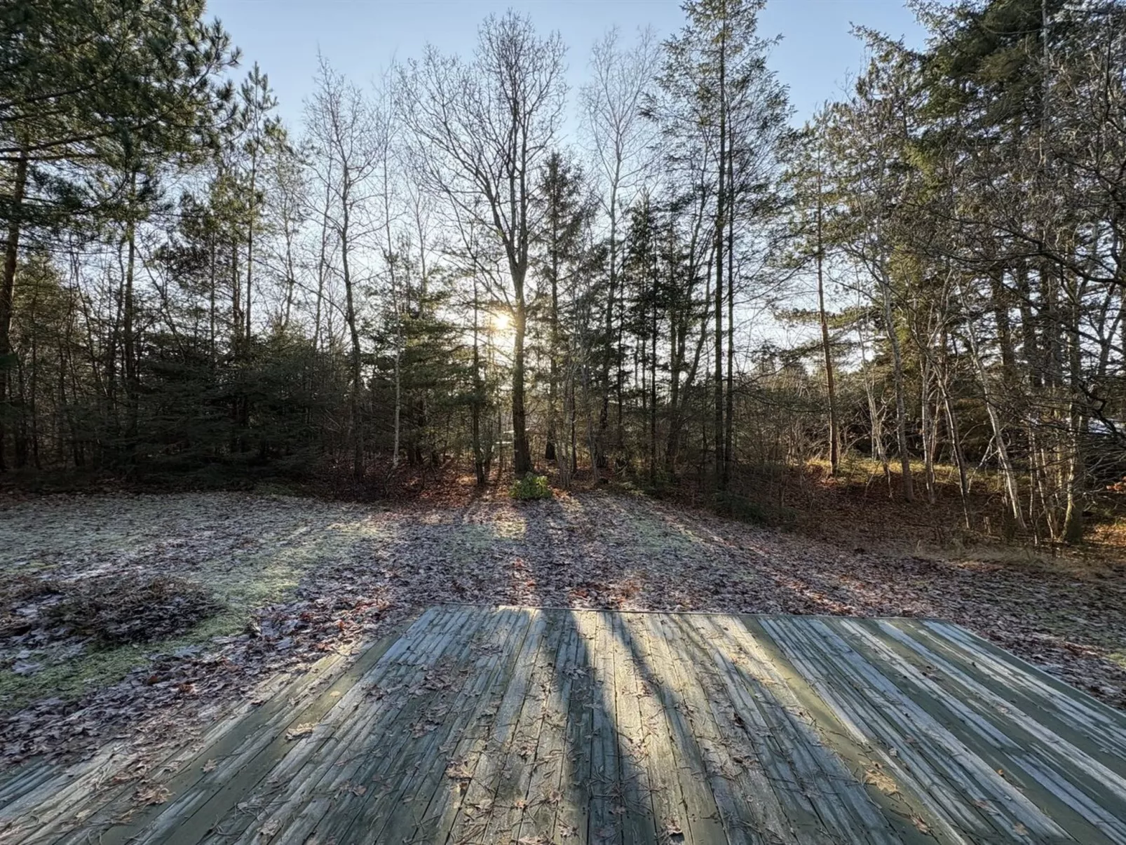 "Elfrede" - 900m from the sea - Buiten