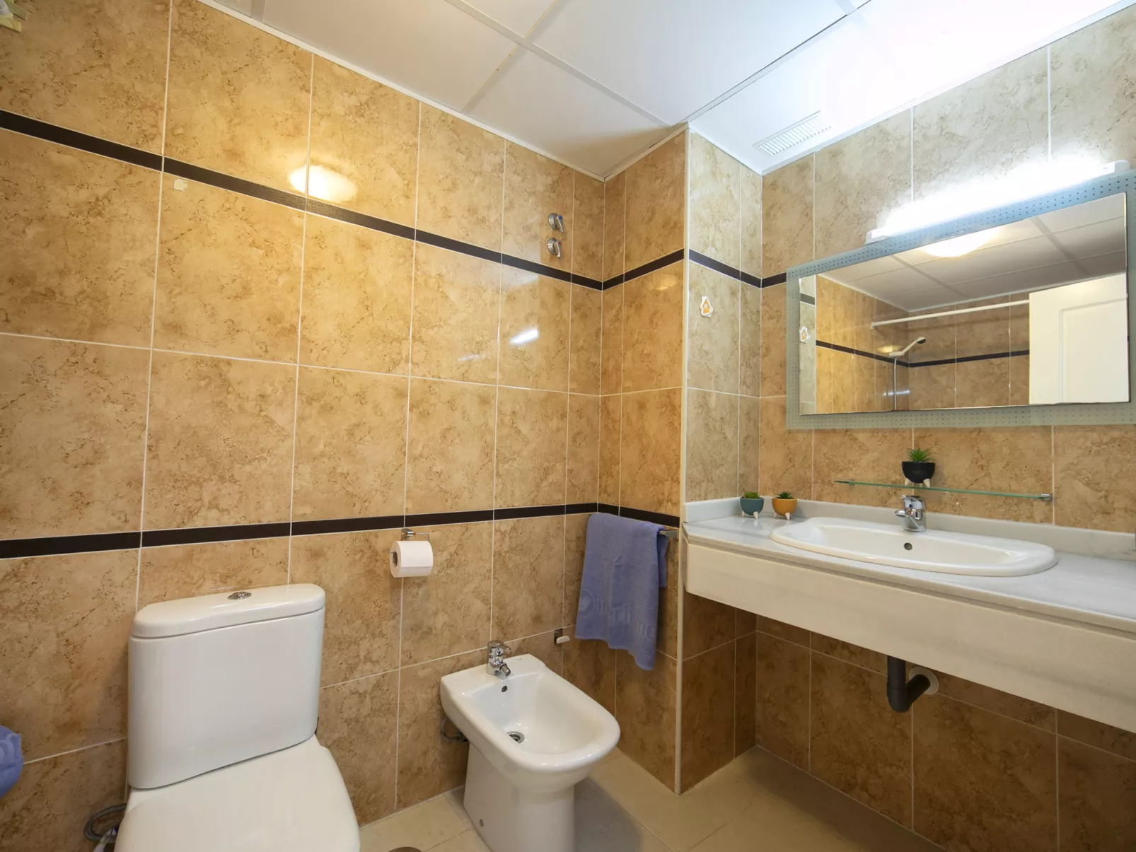 Apolo XVIII - Binnen