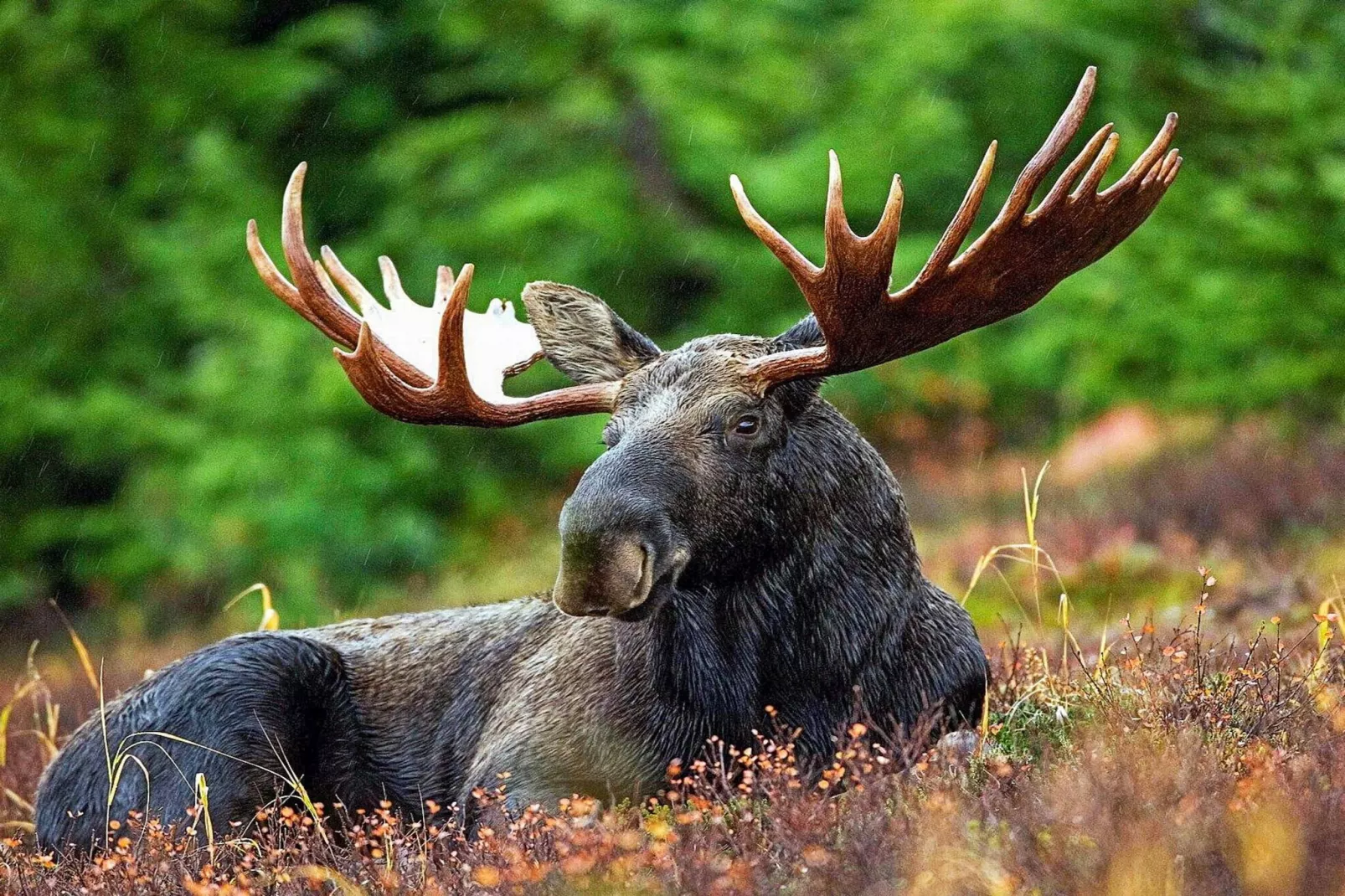 9 persoons vakantie huis in KÄLARNE-Niet-getagd