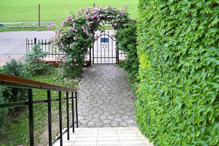 Dom wakacyjny w Stepnicy 7 osób - Terras