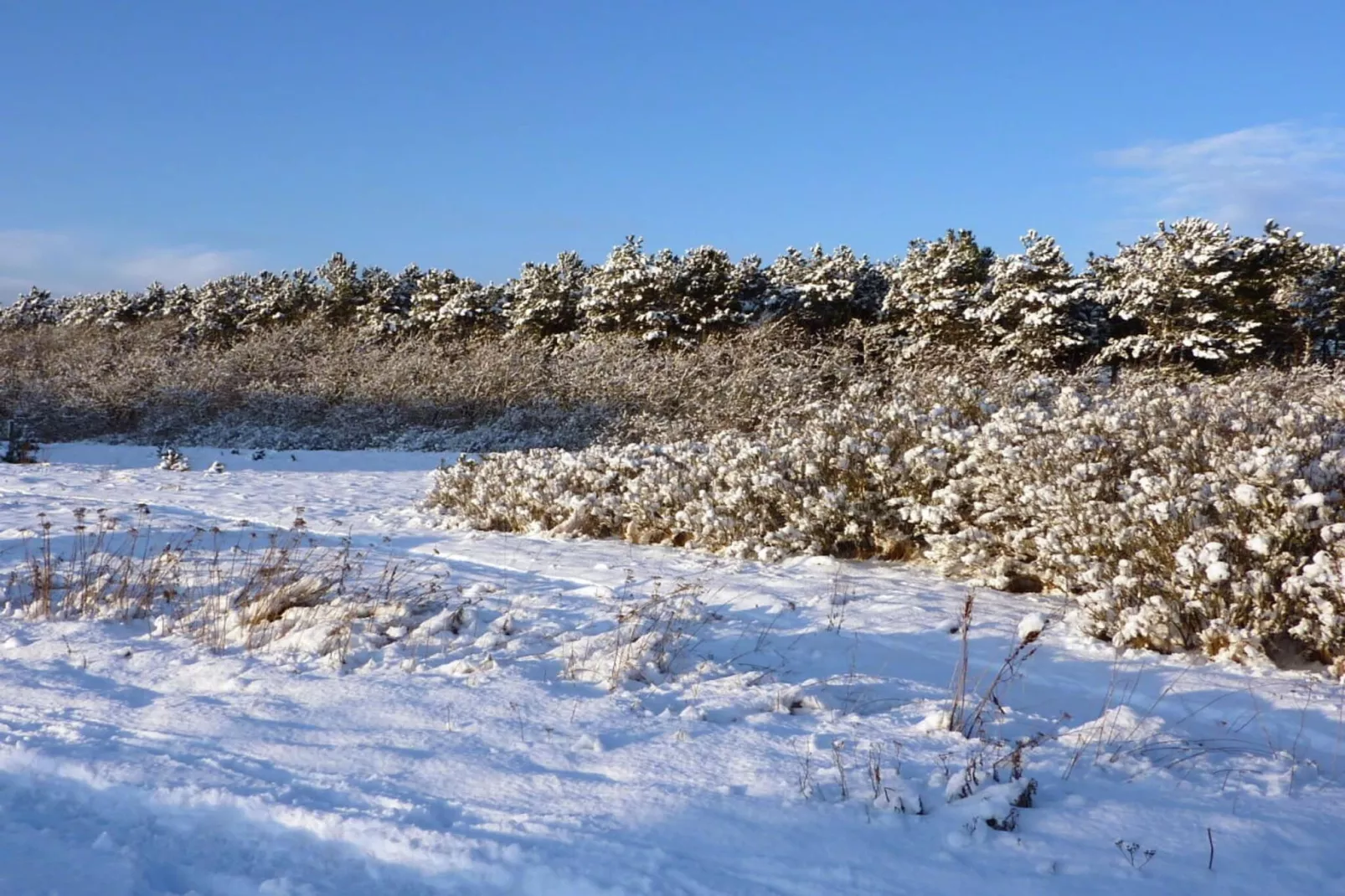 41327-Gebieden zomer 5km