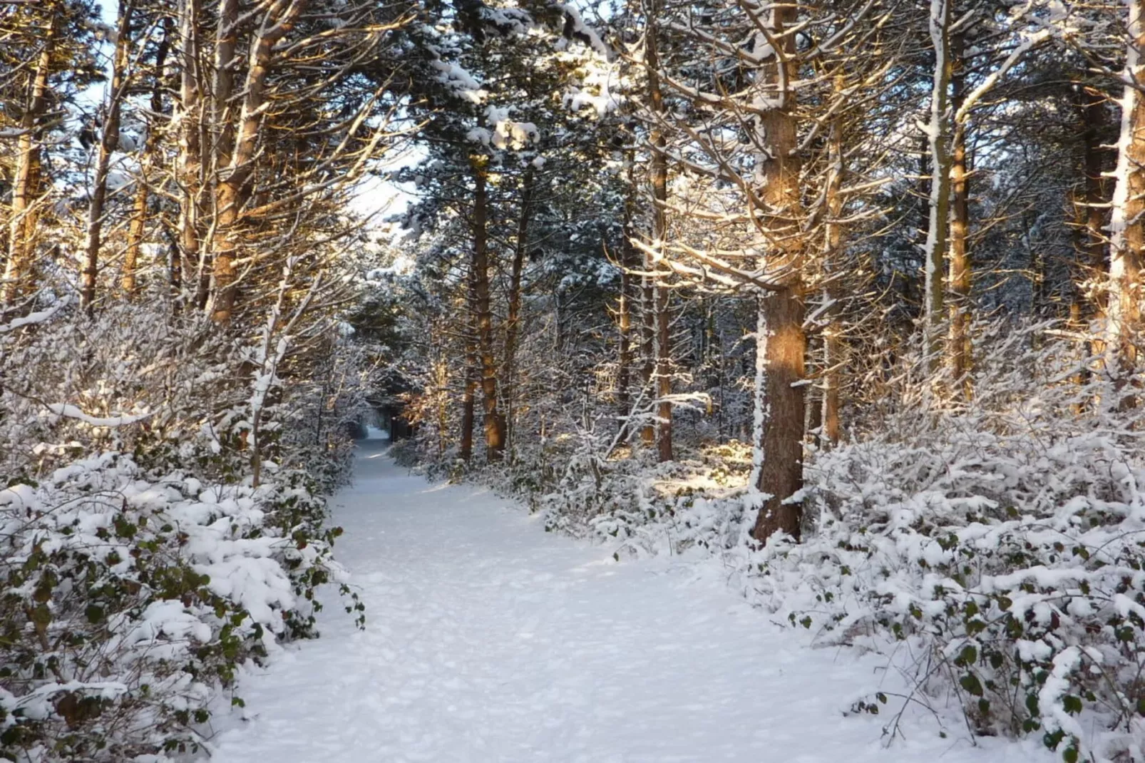 104214-Gebied winter 20km