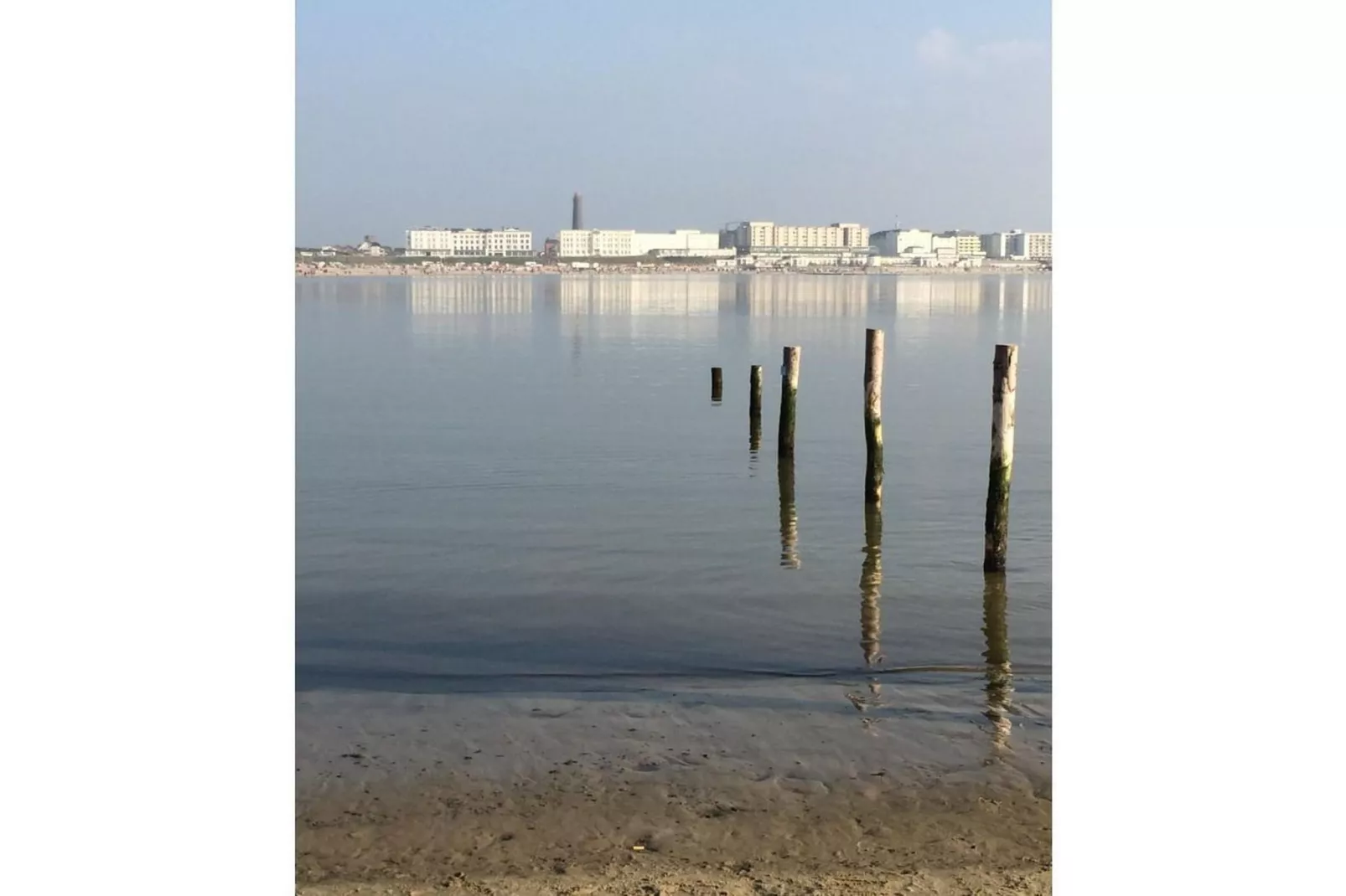 204135-Gebieden zomer 5km