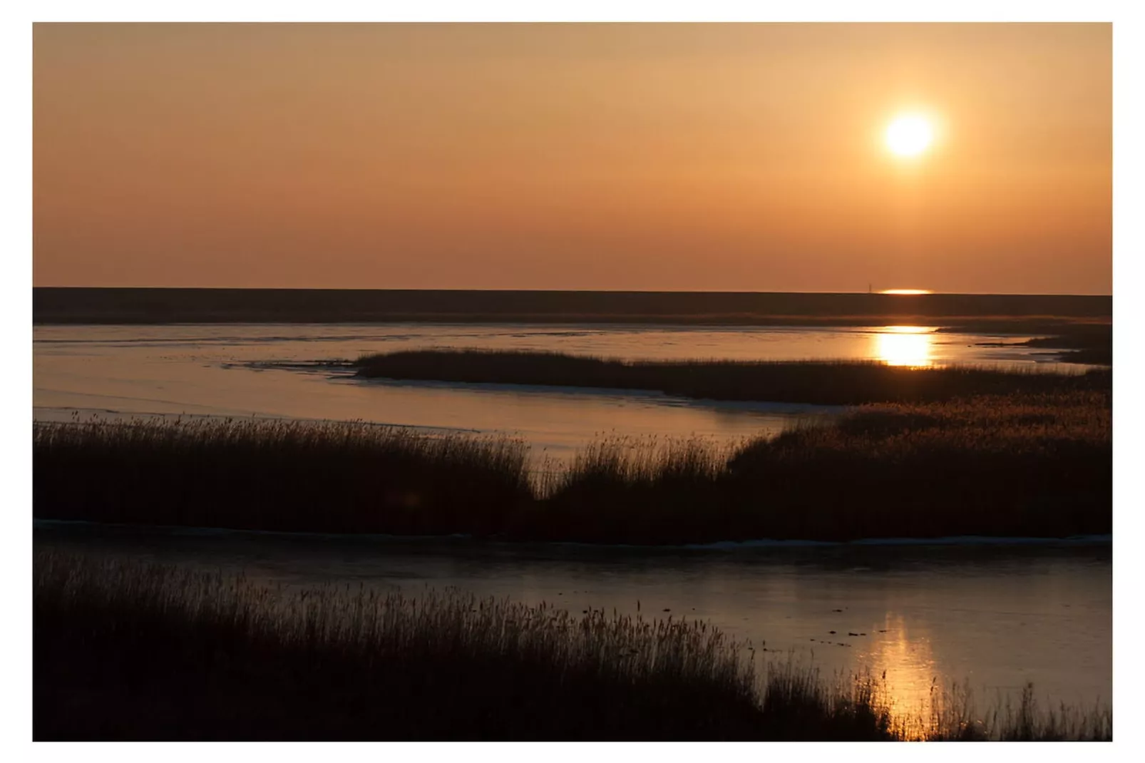 288360-Gebieden zomer 5km