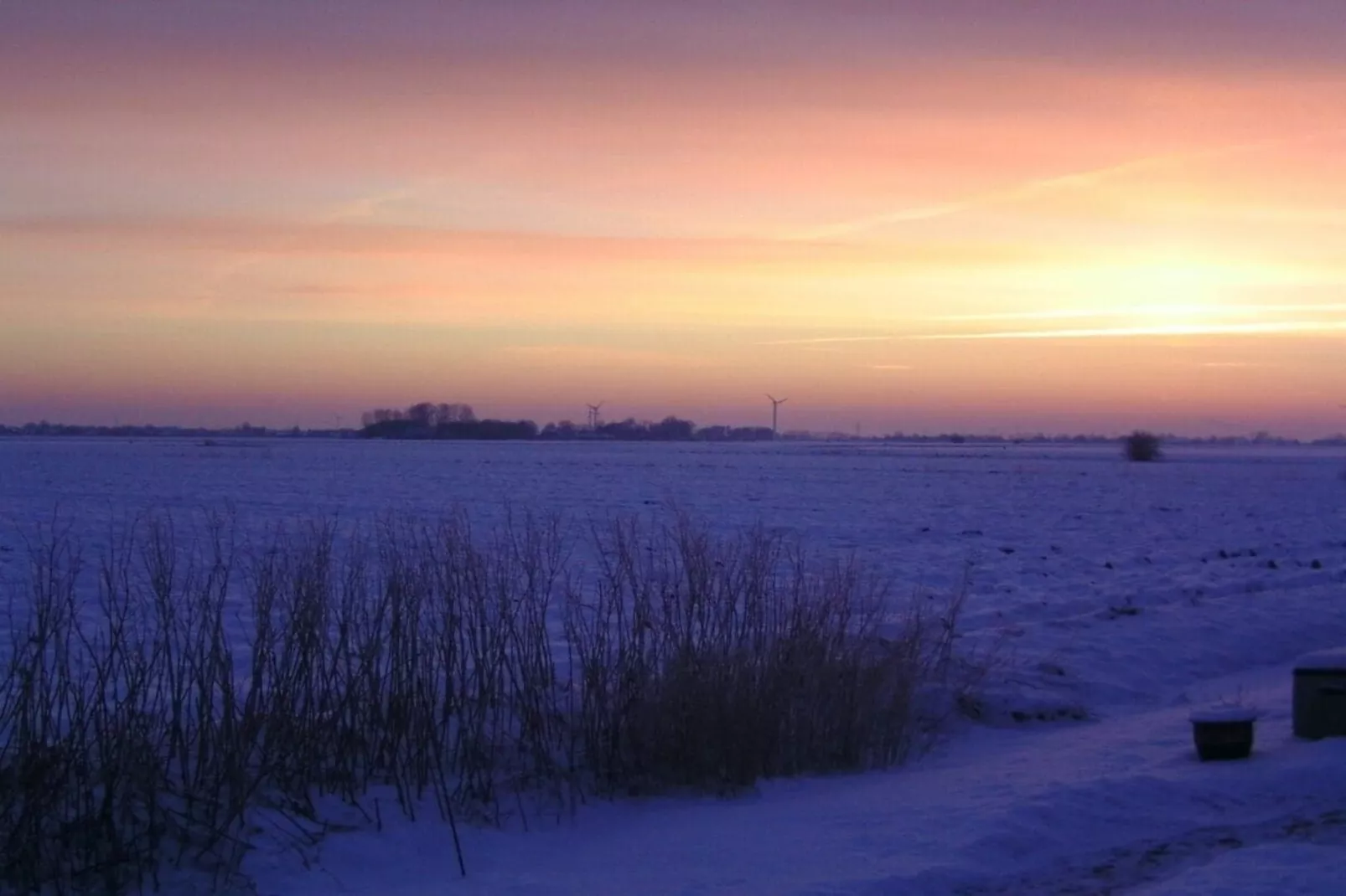 332739-Gebieden zomer 1km