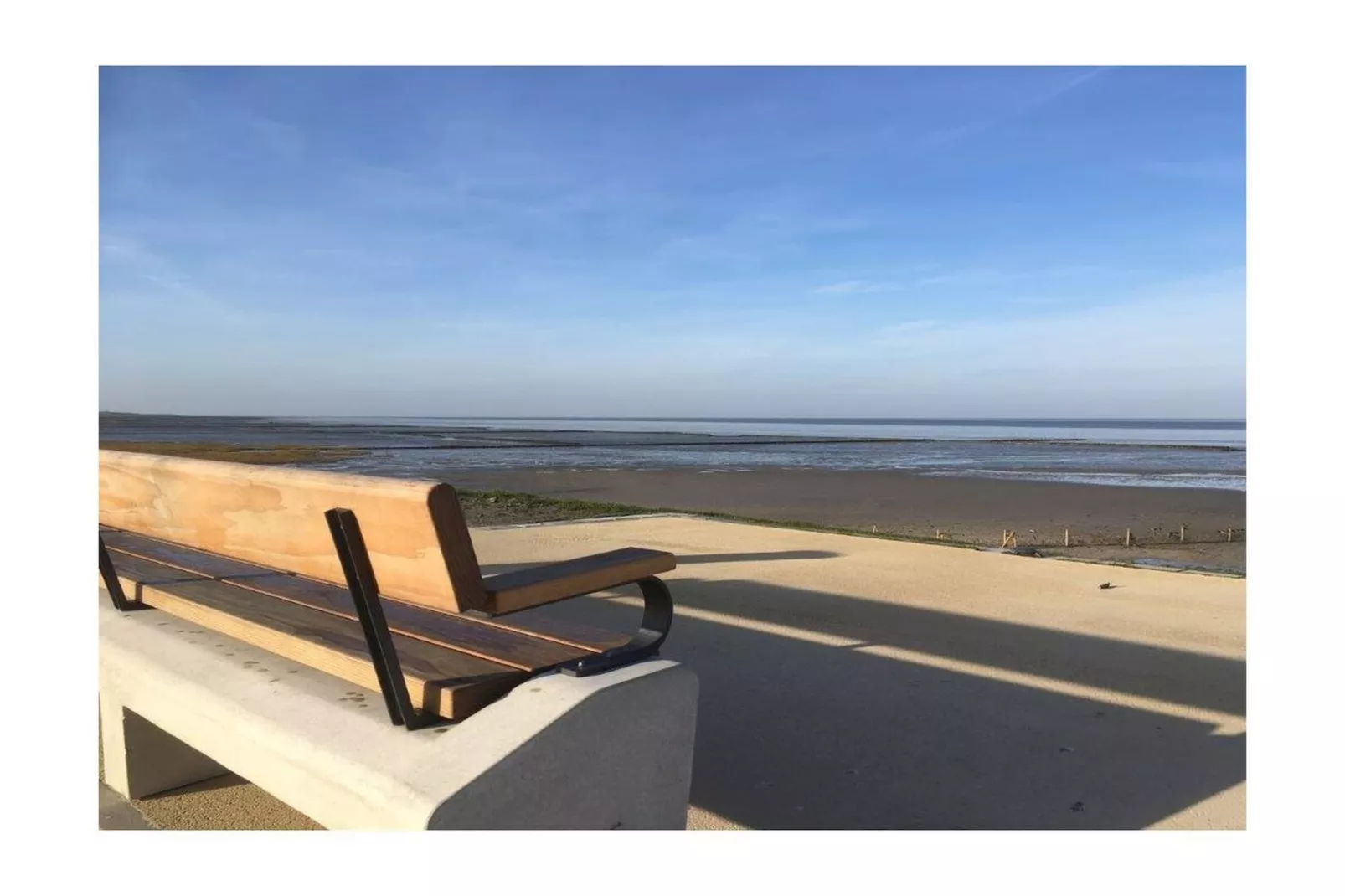 383459-Gebieden zomer 1km