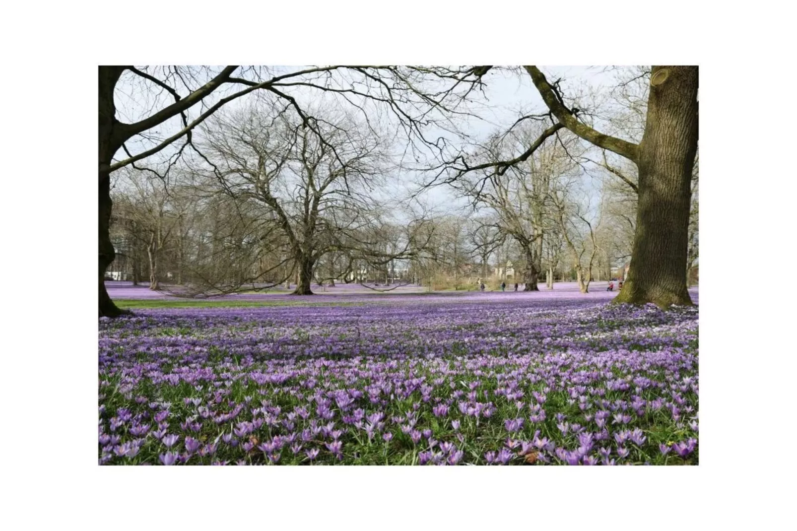 487221 - Gebieden zomer 5km