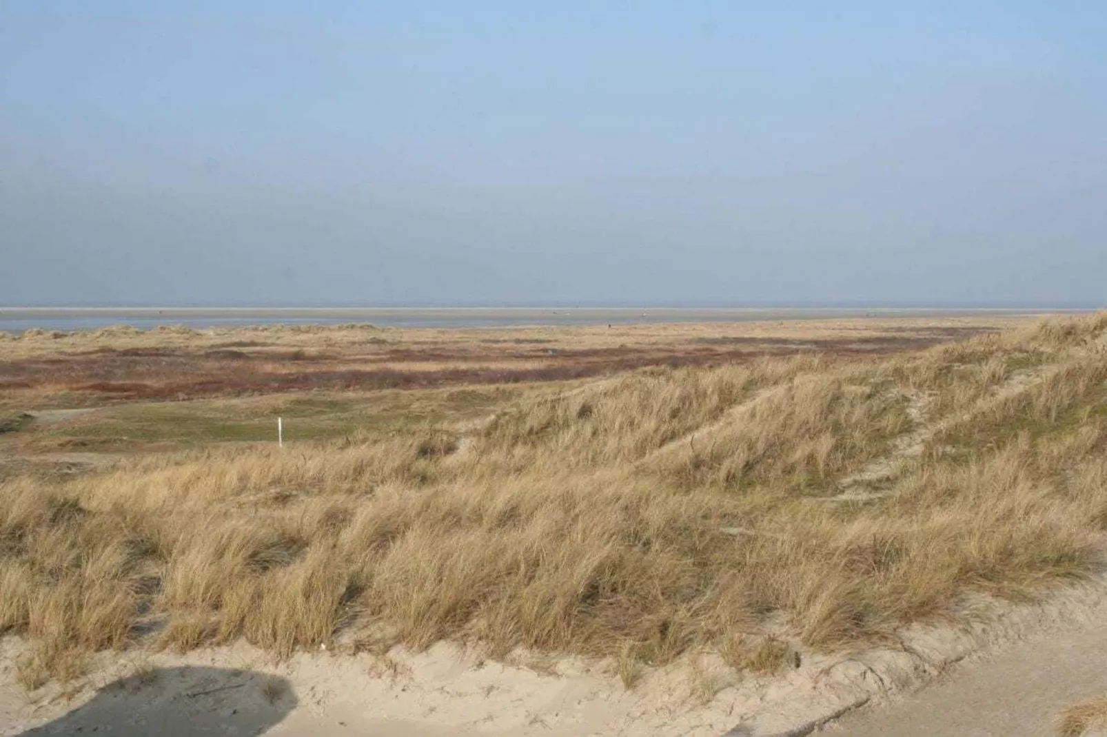 33324-Gebieden zomer 5km