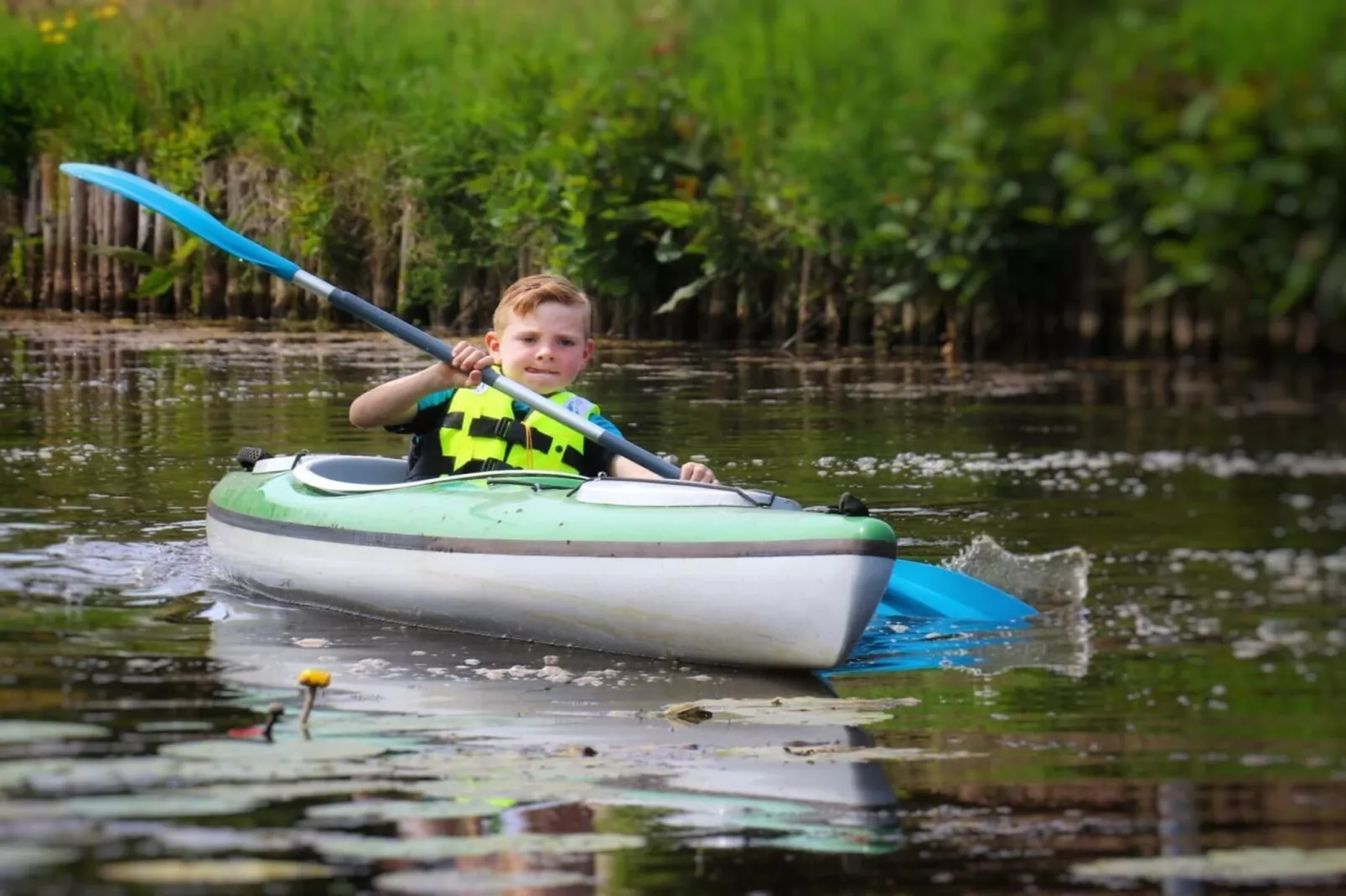 218583-Gebieden zomer 5km