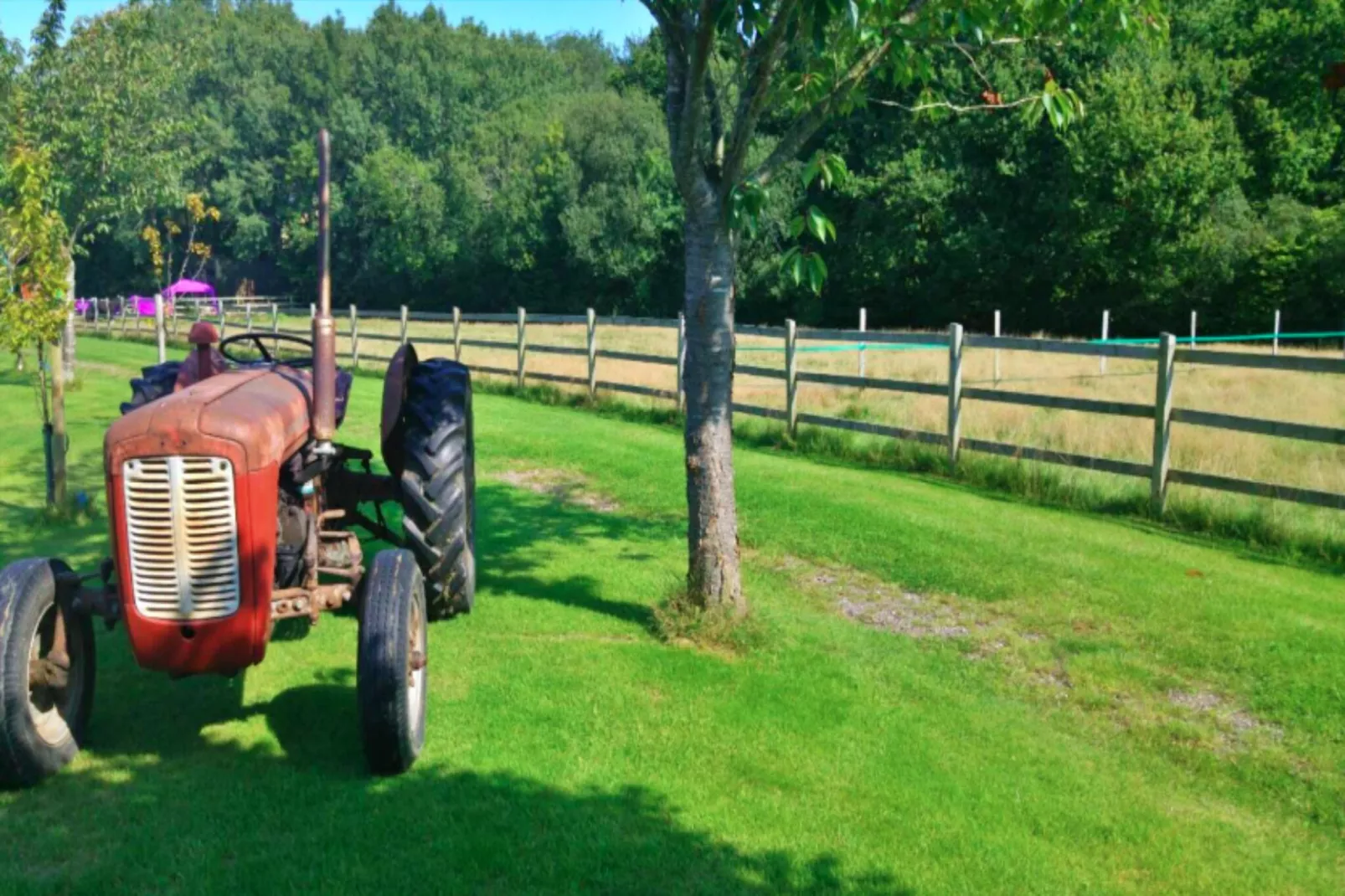 Shepherd's Hut at Hilltop Farm-Buitenlucht
