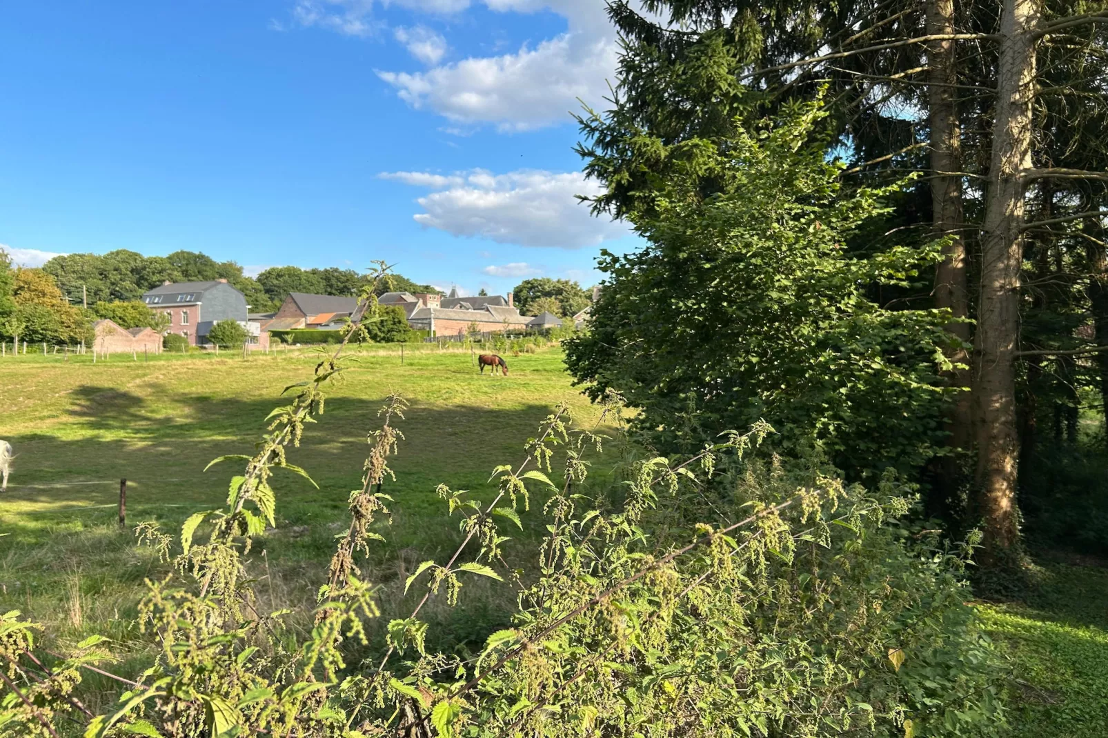 L'Ecureuil Blanc - Tuinen zomer