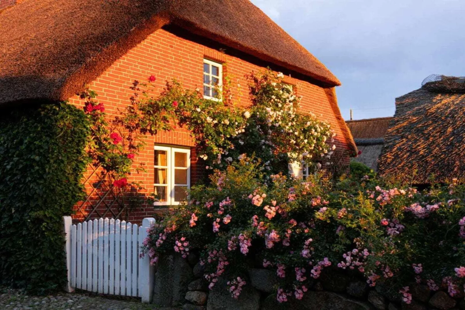 573535 - Buitenkant zomer