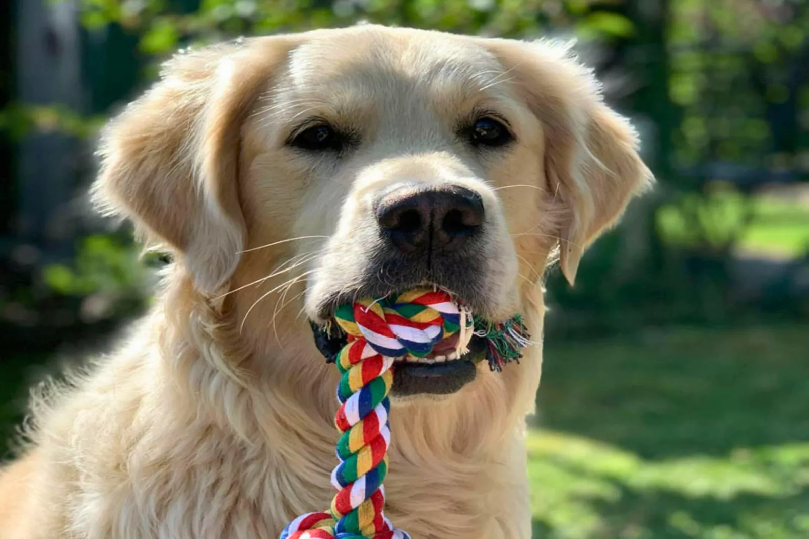 Jeamai’s Pension-Sfeer