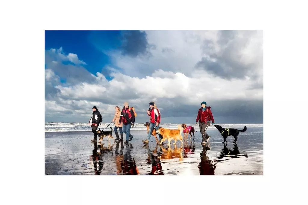 273134 - Niet-getagd