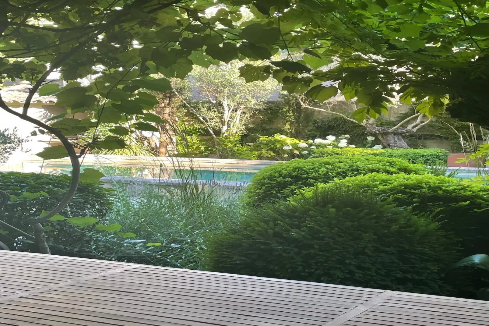 Mas Maillane demeure du XVIIIe entièrement rénové-Zwembad