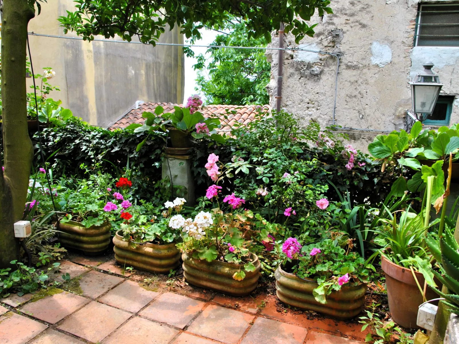 Giardino dei Limoni - Buiten