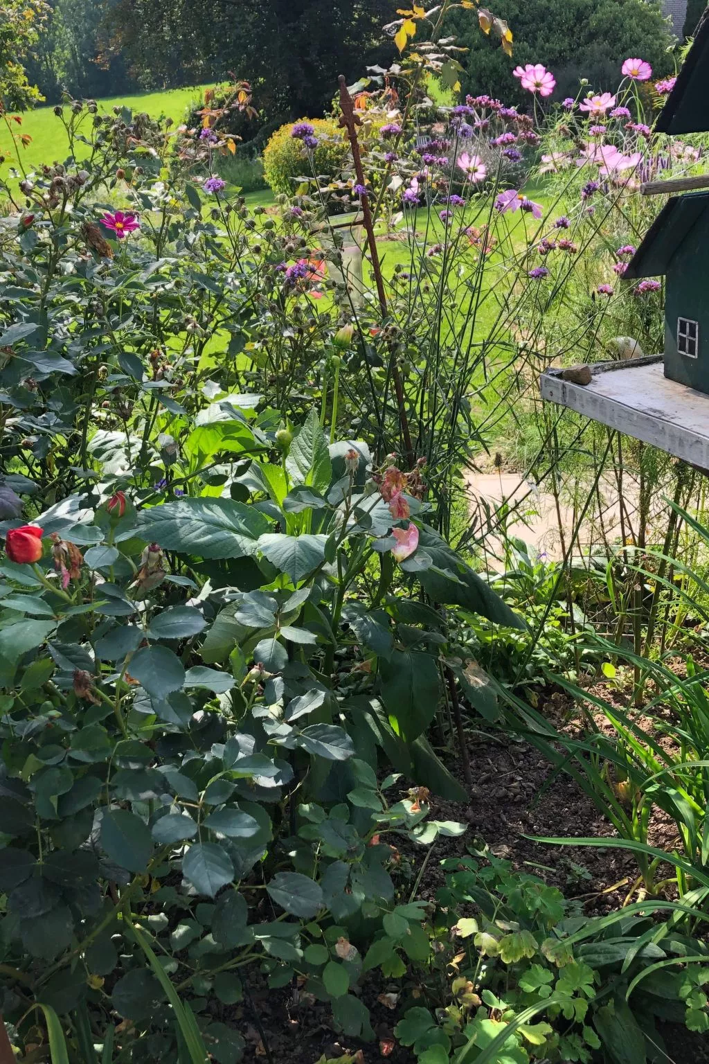 Gartenblick - Image-tags.info