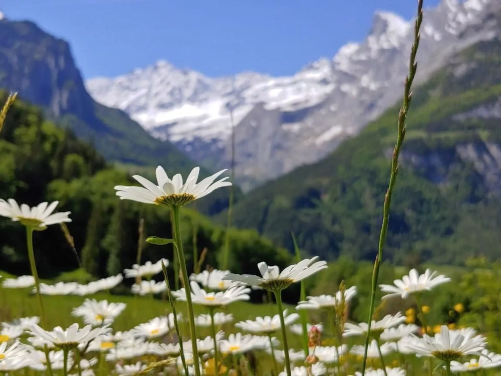 Wohnung mit 3 Schlafzimmern “Wylerdümen” - Image-tags.info