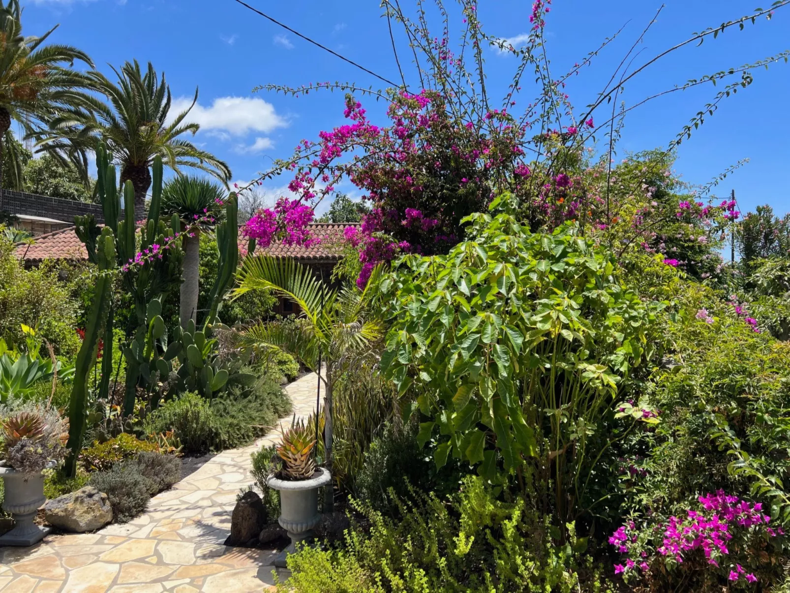 Casa Jardín Tropical - Image-tags.info