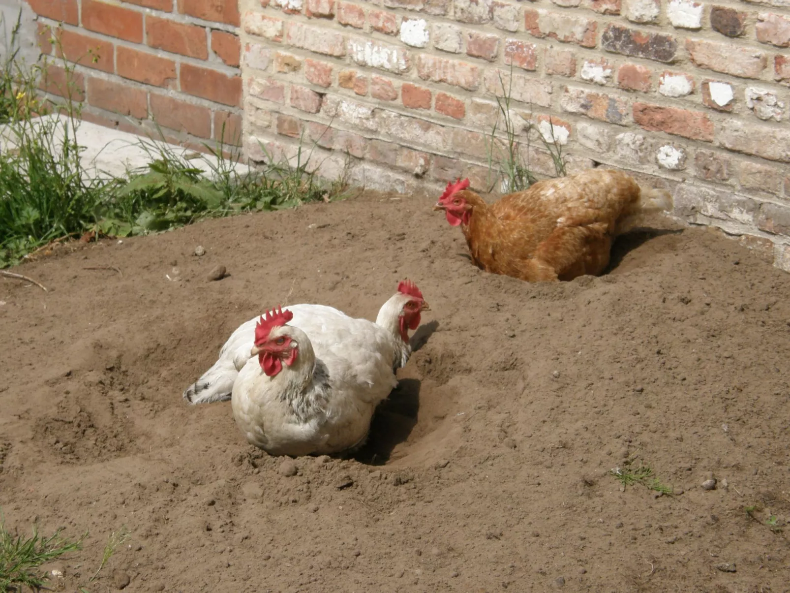 Nette Ferienwohnung mit Terrasse, Pool und Garten - Image-tags.info