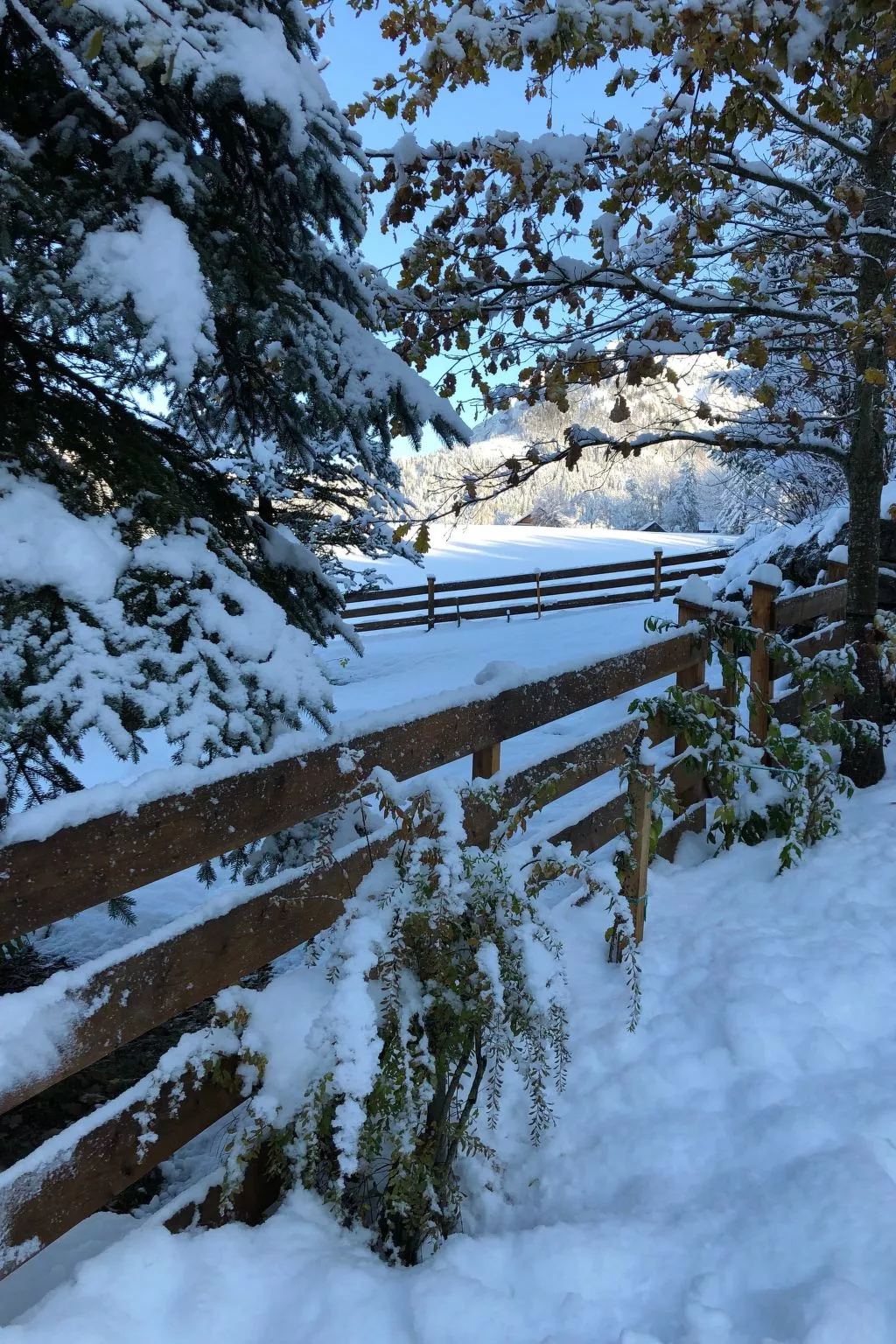 Tolle Wohnung in Bad Aussee mit Garten und Grill und Bergblick - Image-tags.info