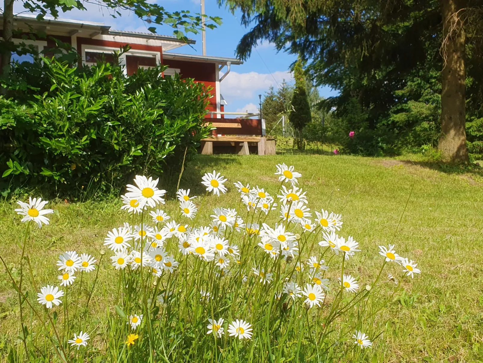 Beerberg - Image-tags.info