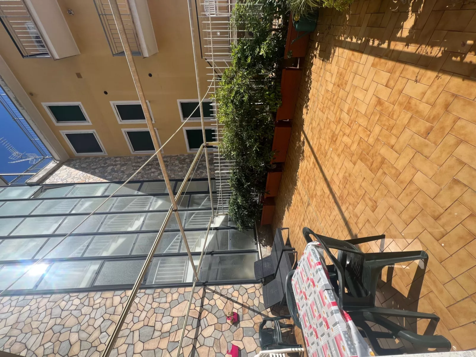 Pitosforo - Image-tags.info