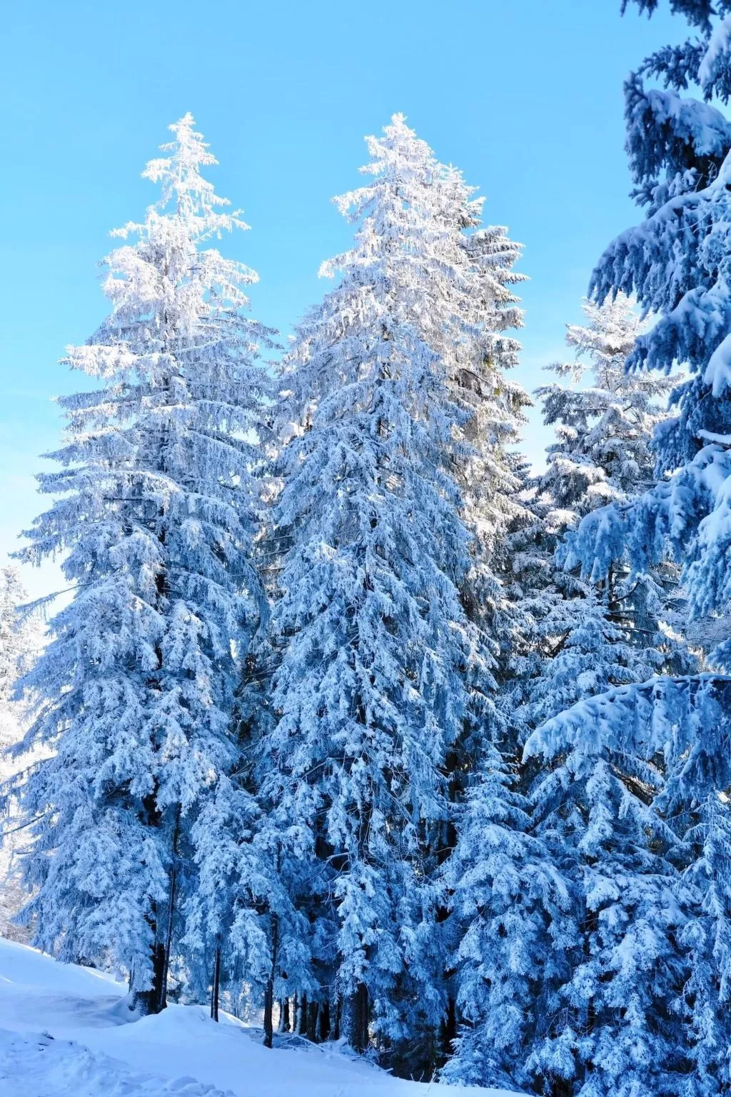 Neue Ferienwohnung in Schwarzenberg mit Garten und Grill - Image-tags.info