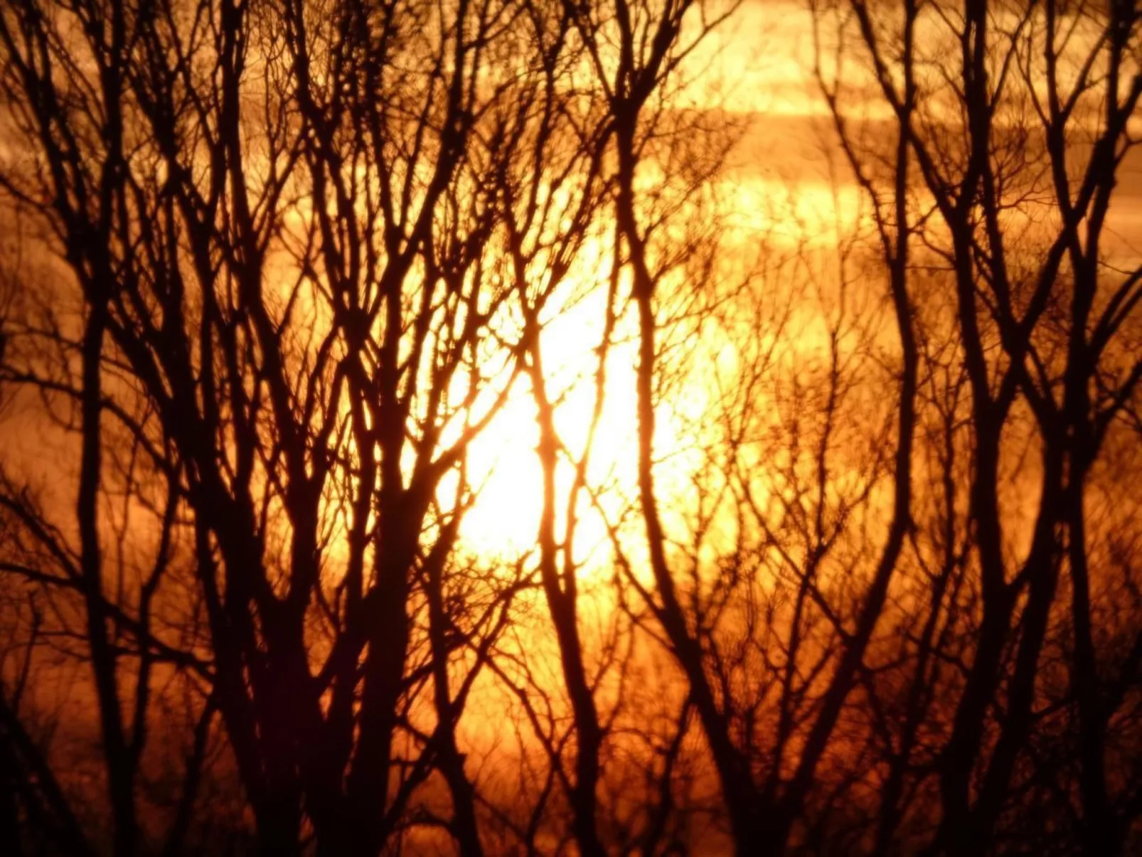 An der Flut 269 - Image-tags.info