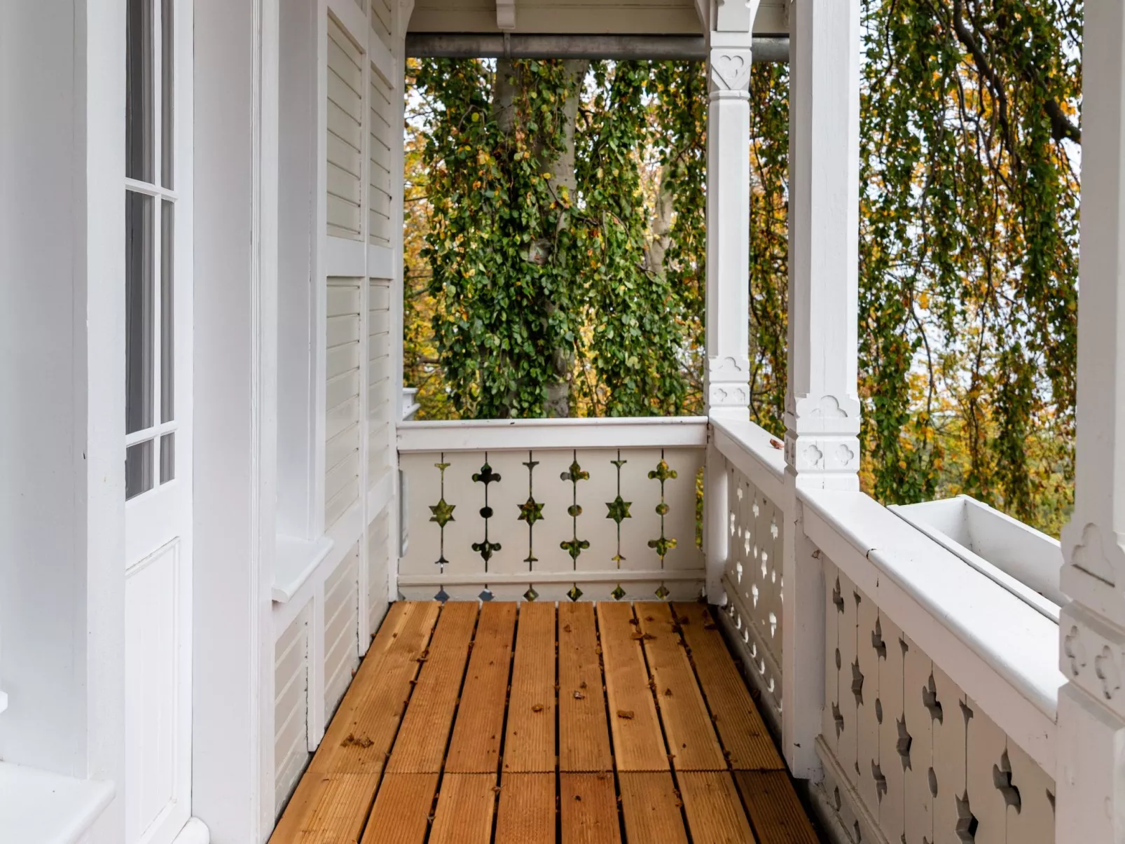 Erika in Ostseebad Göhren - Image-tags.info