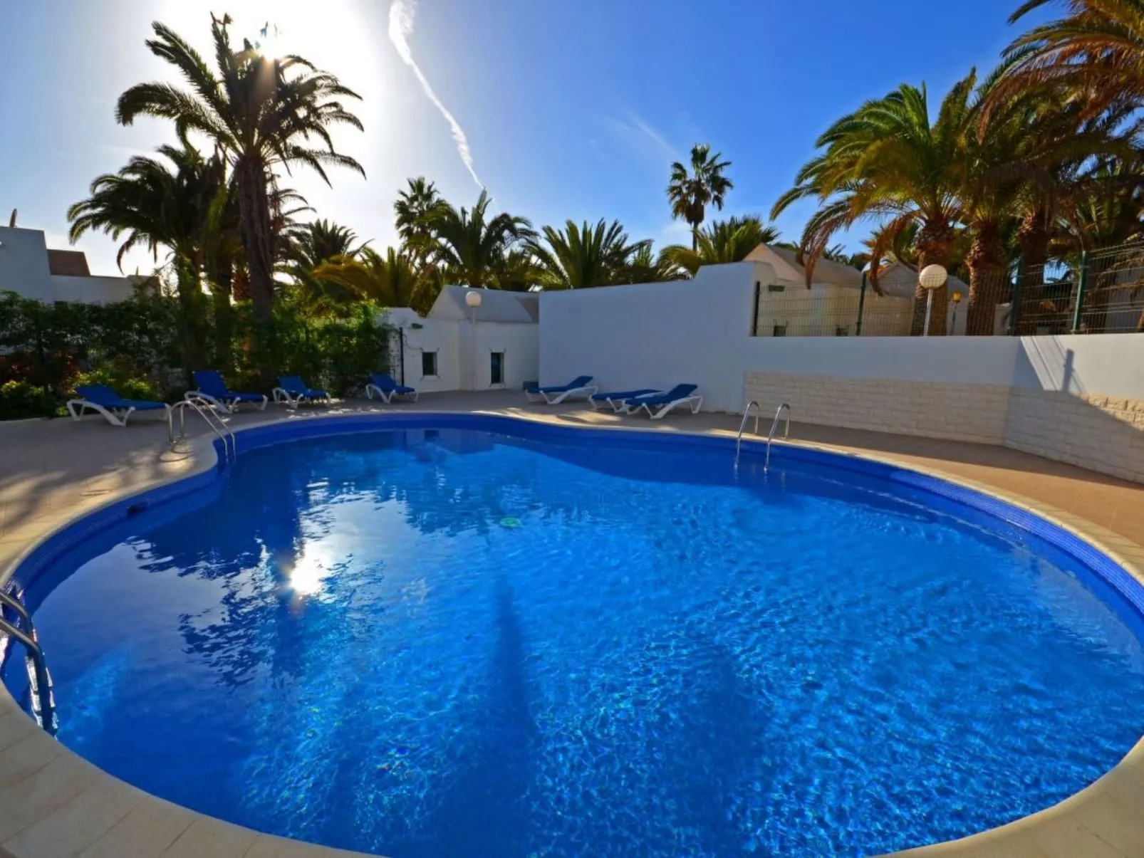 Palm Garden - Image-tags.info