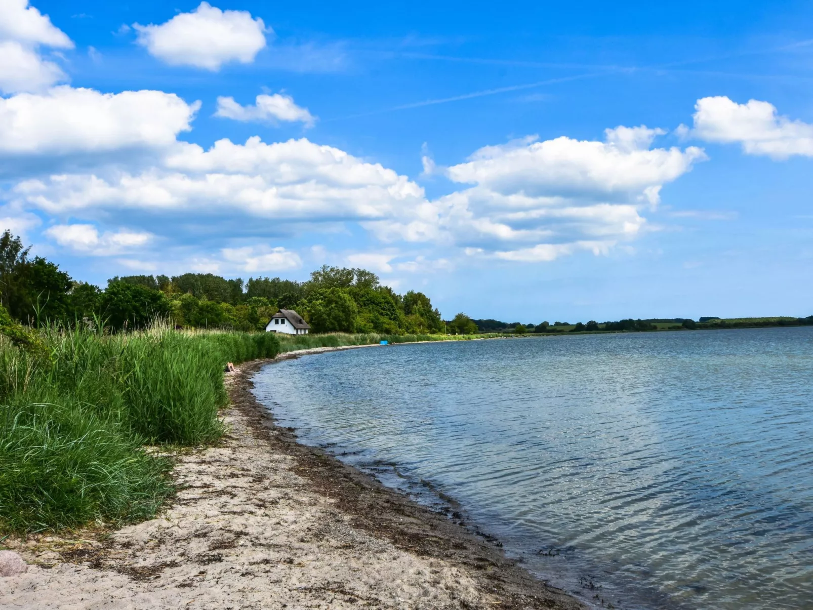 Hugo für 4 Personen - Image-tags.info