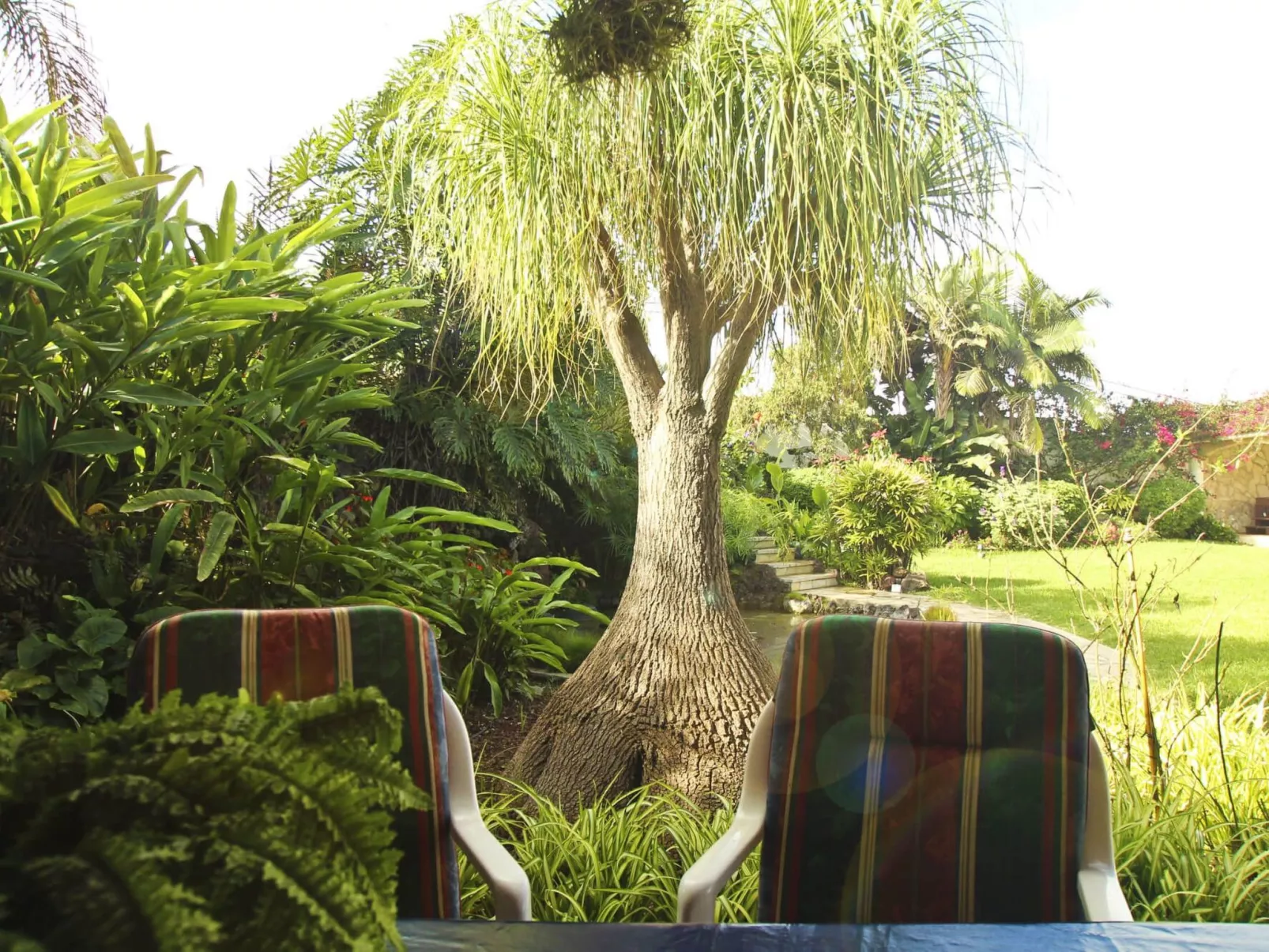 Finca Tocama - Buiten