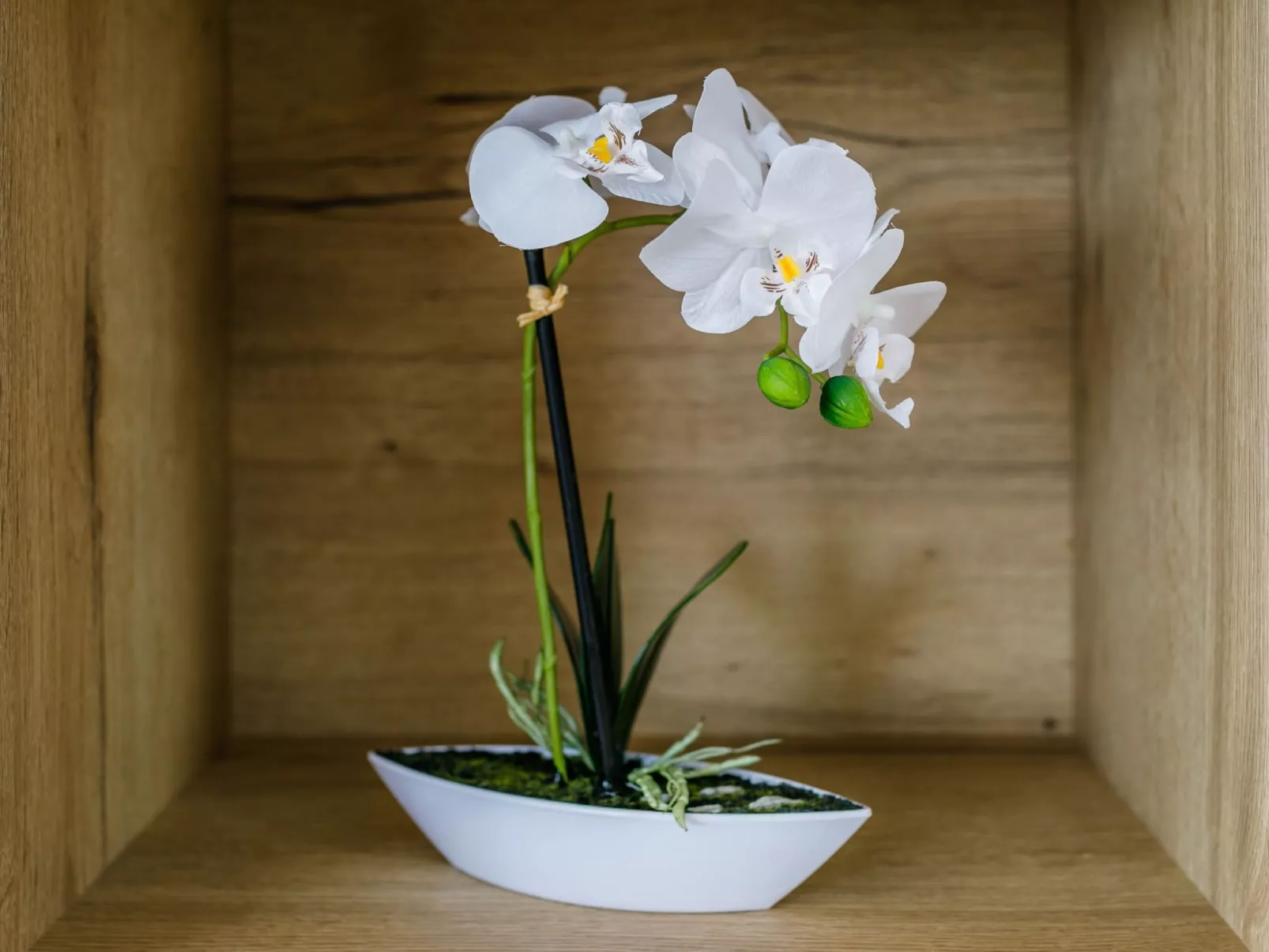 Mediterrane Villa, Pool, Panoramablick aufs Meer - Image-tags.info