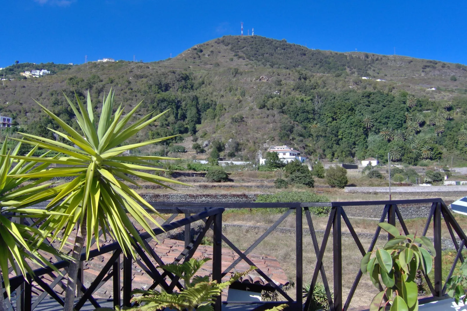 Apartamentos Monasterio de San Antonio 1 - Uitzicht zomer