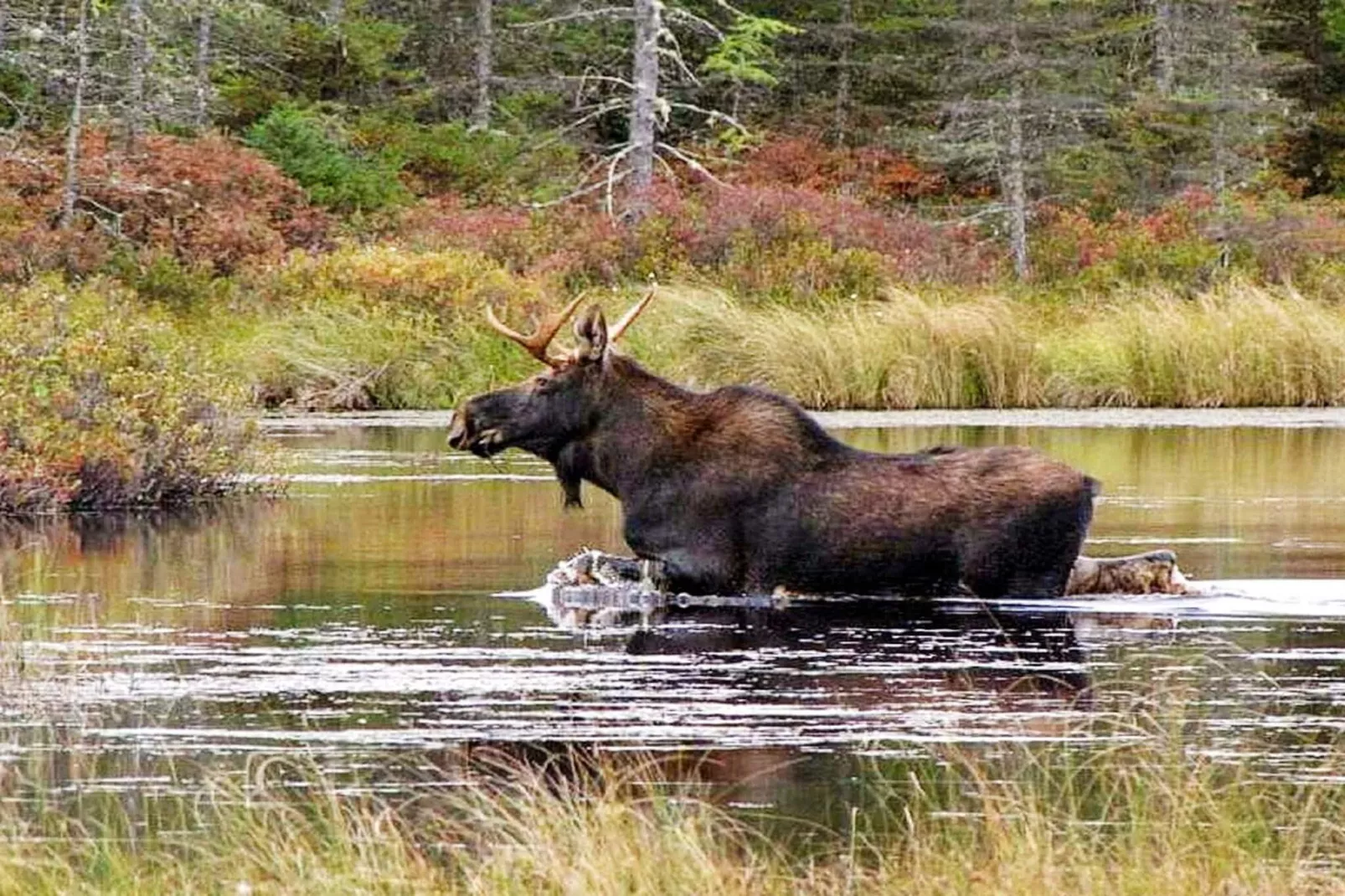 9 persoons vakantie huis in KÄLARNE-Niet-getagd
