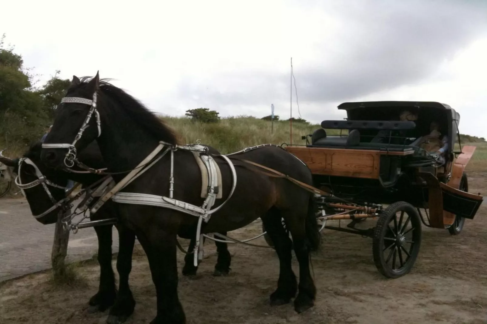 249875-Gebieden zomer 5km