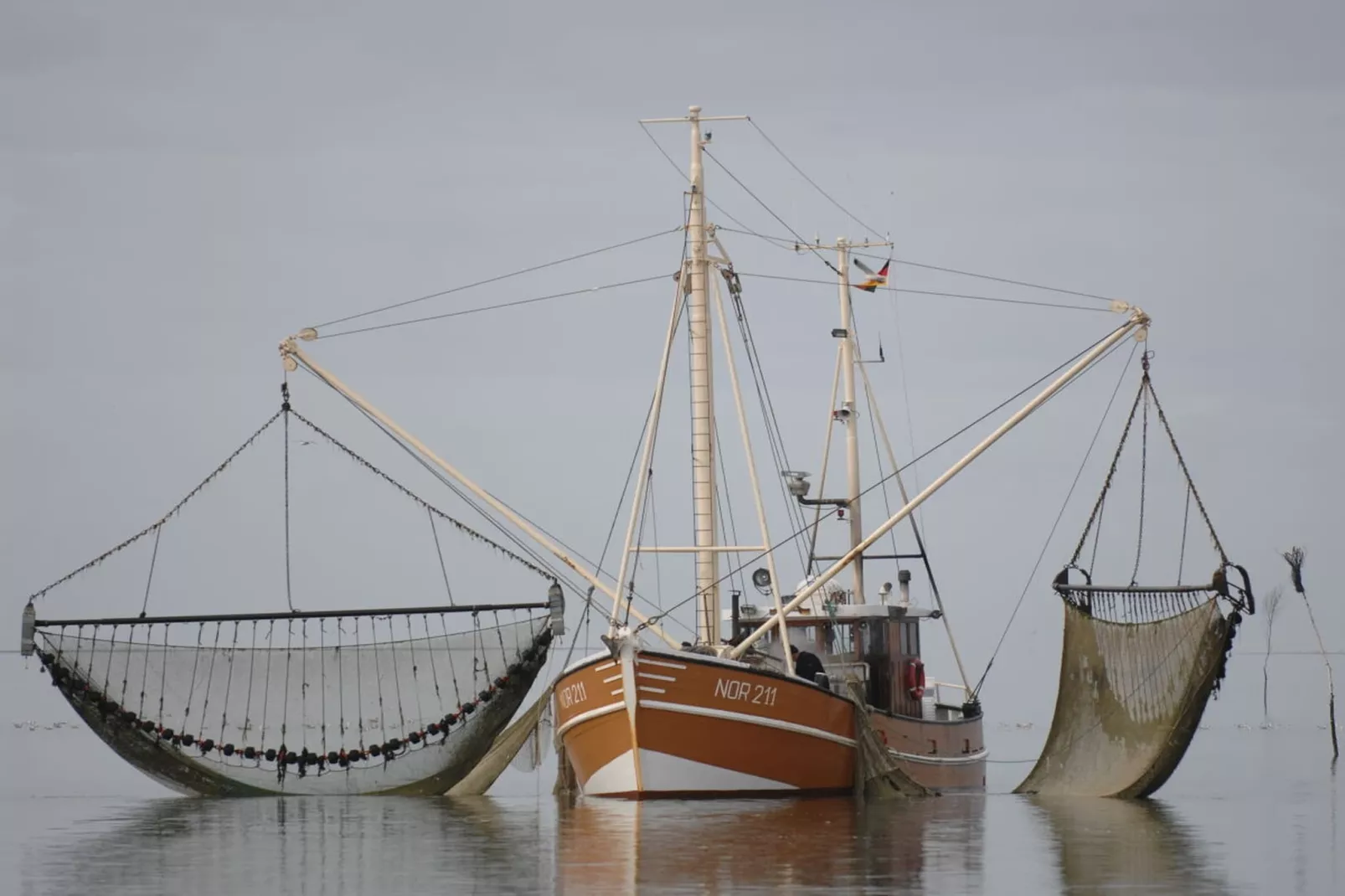 69602-Gebieden zomer 5km