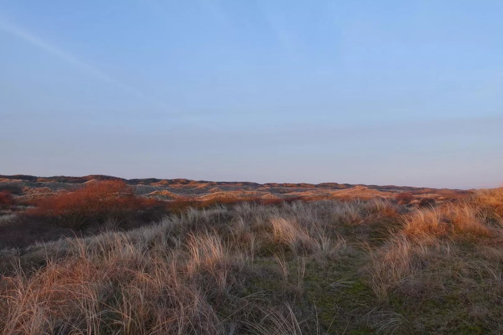 166902-Gebieden zomer 5km