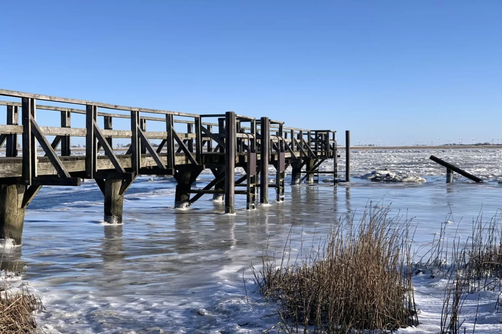 386347-Gebieden zomer 5km