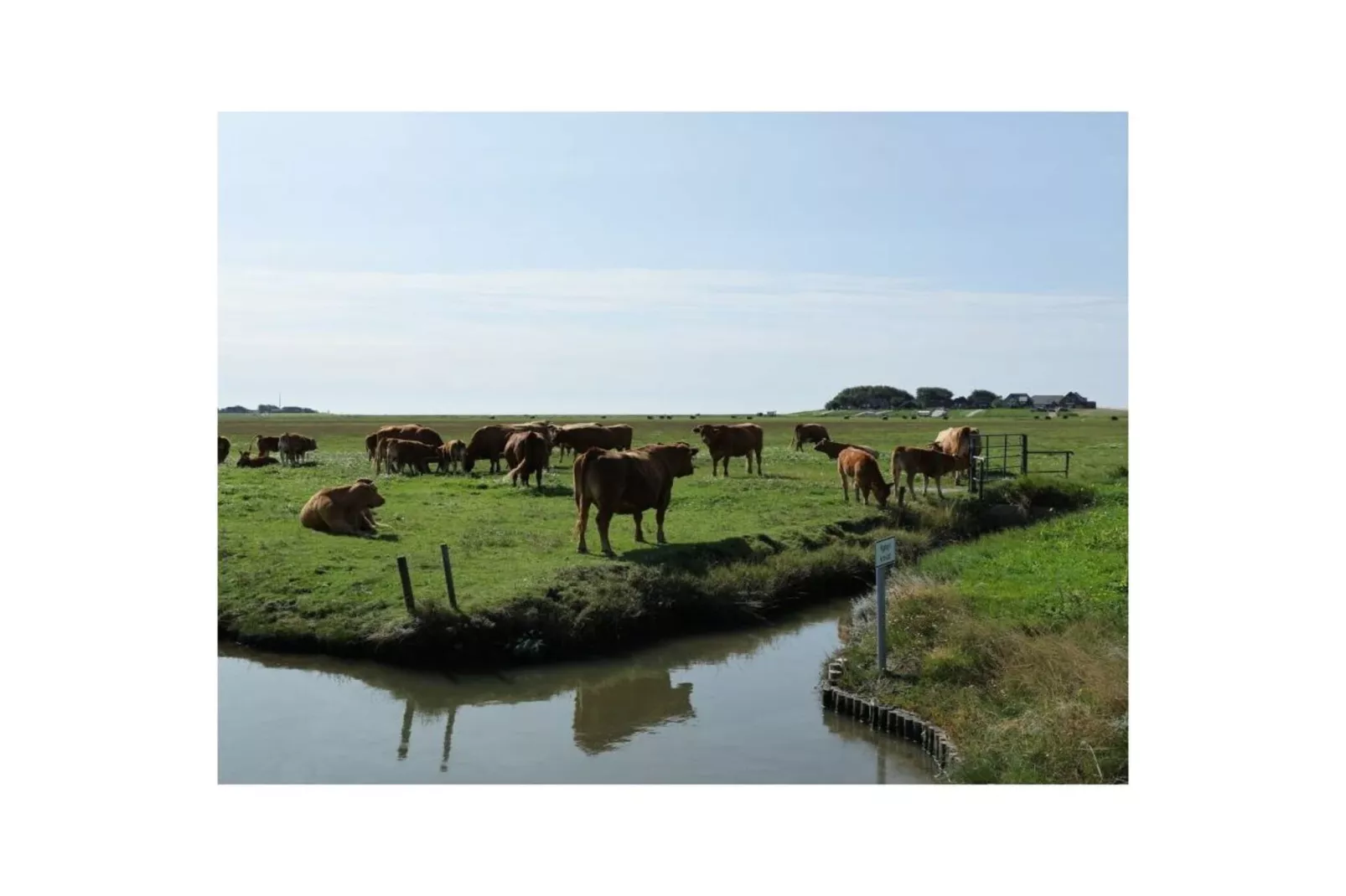 487221 - Gebieden zomer 5km