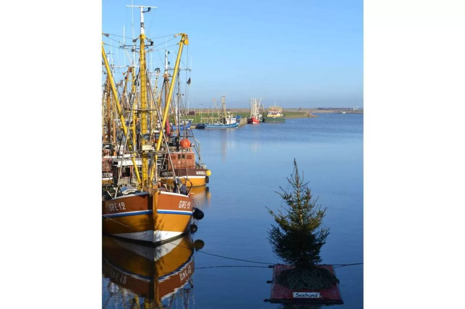 184619-Gebieden zomer 5km