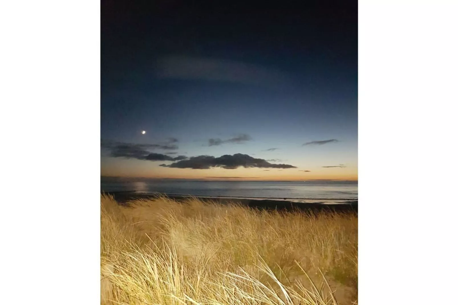 124191 - Gebieden zomer 1km