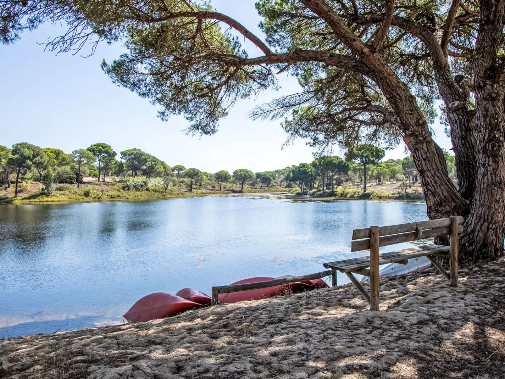 Villa Cegonha-Buiten