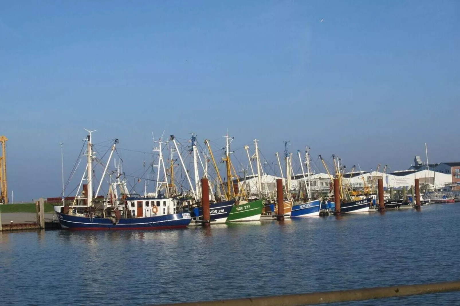 50151-Gebieden zomer 5km