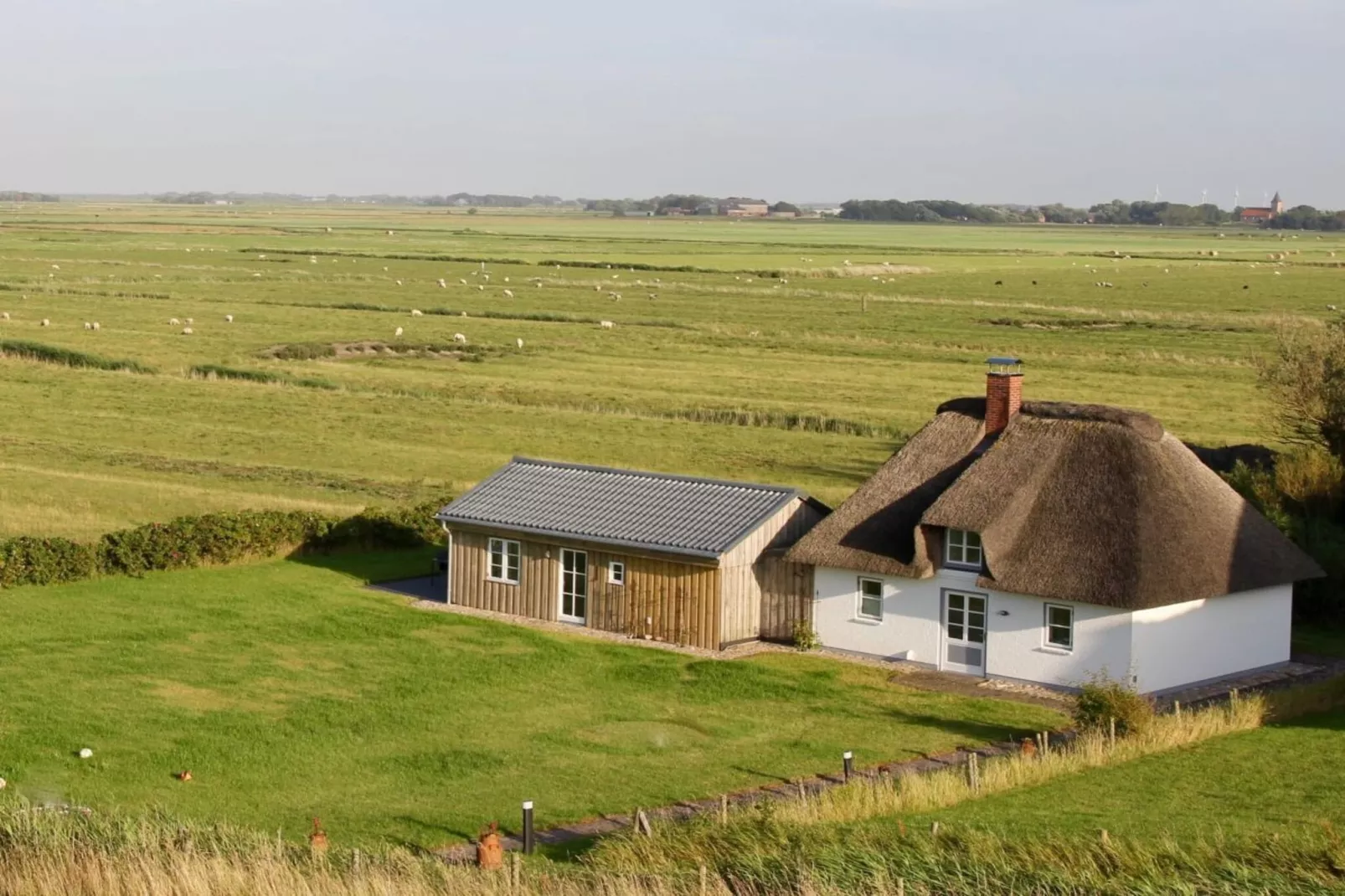 66667-Gebieden zomer 1km