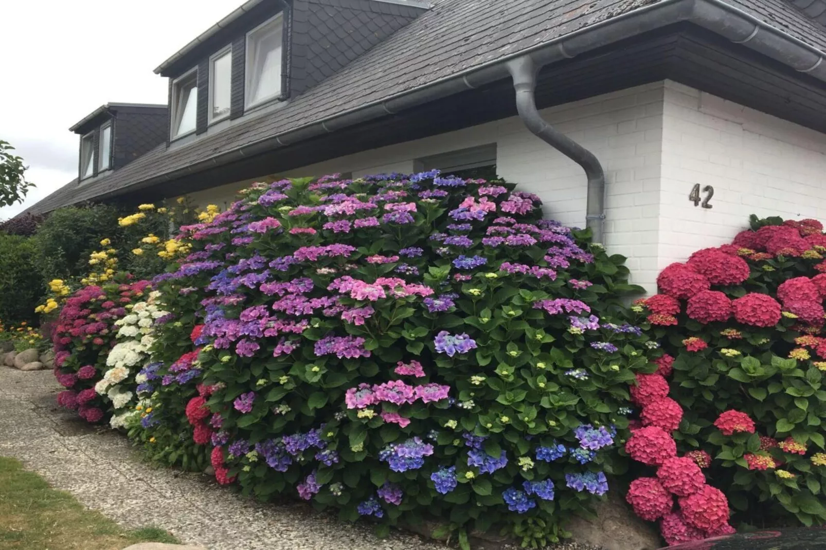 283745-Buitenkant zomer