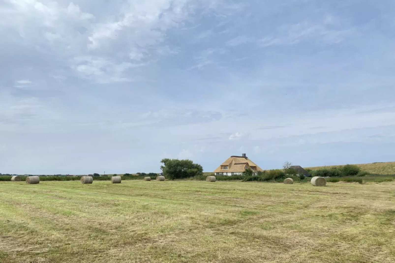 579042 - Buitenkant zomer