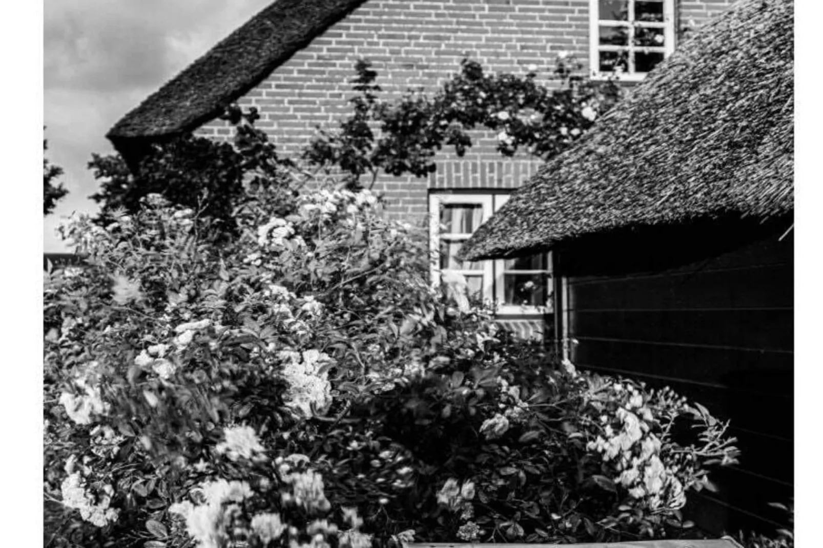 573535 - Buitenkant zomer